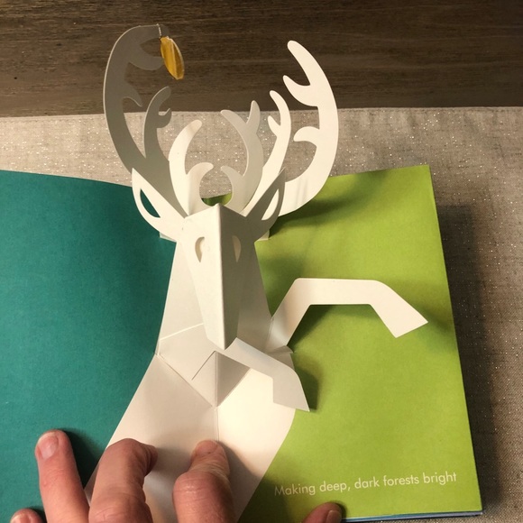 Winter Wonderland Pop Up Sabuda Used❄️ Final price - Picture 7 of 11